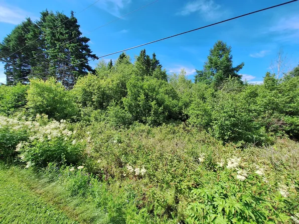 Lot #54-D Lavertu Road, Madawaska, ME 04756