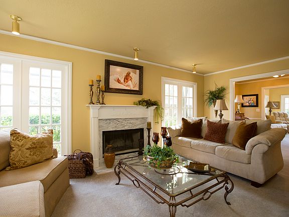 Gas Starter with Glass Doors on Fireplace