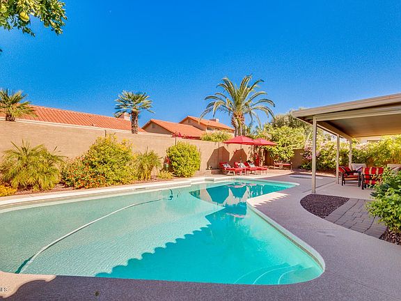 Gorgeous Back Yard