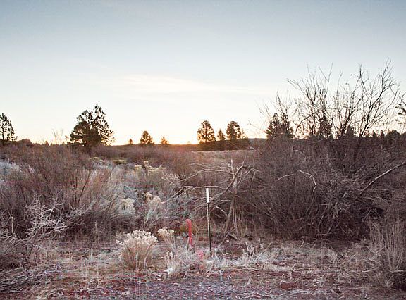 2nd image of 2611 Sportsland Ct