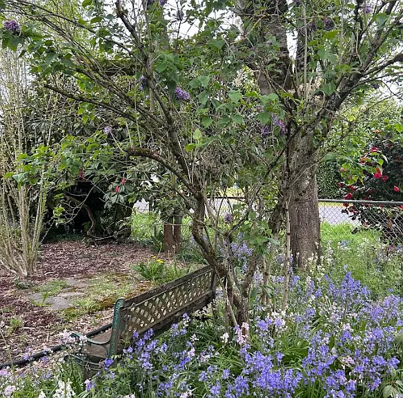 2250 32nd Ave — Photo 23