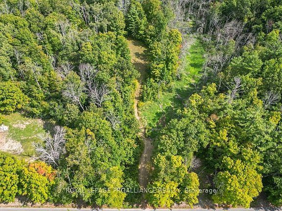 5th image of 316 High Shore Rd