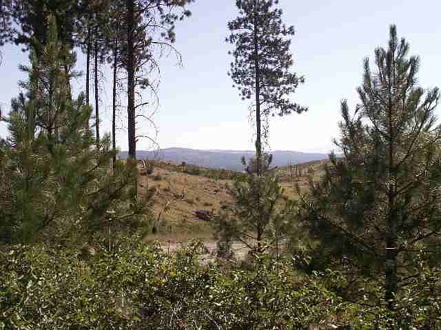 2nd image of 17200 N Valley Rd