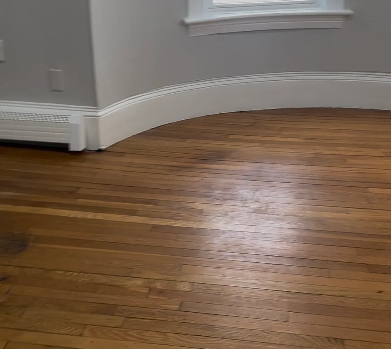 1 bed, $1,250 — Photo 2