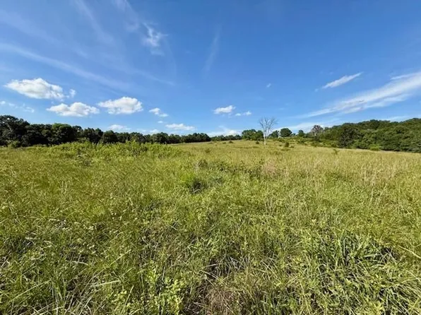 0 State Route Ave, Mountain Grove, MO 65711