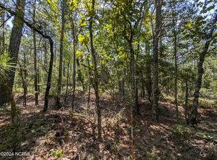 445 Thimbleberry Dr LOT 166, Vass, NC 28394