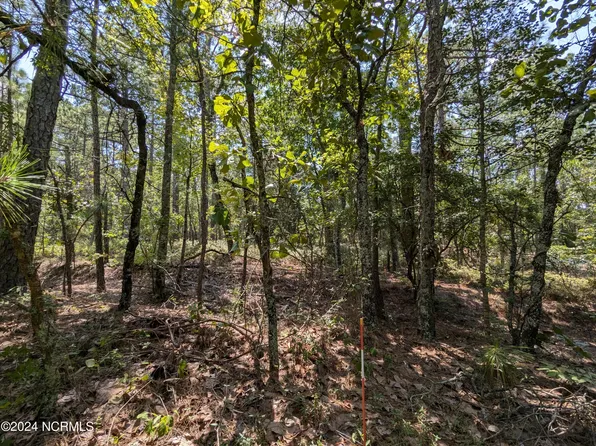 445 Thimbleberry Dr Lot 166, Vass, NC 28394