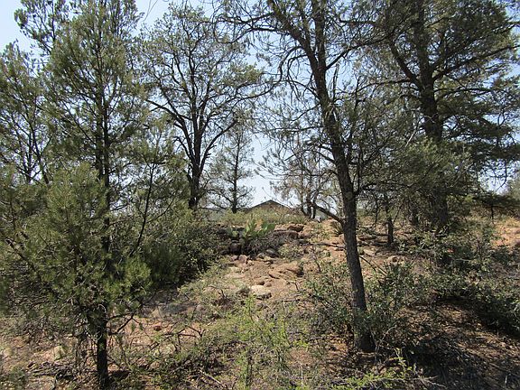 4th image of 402 N Deer Trl