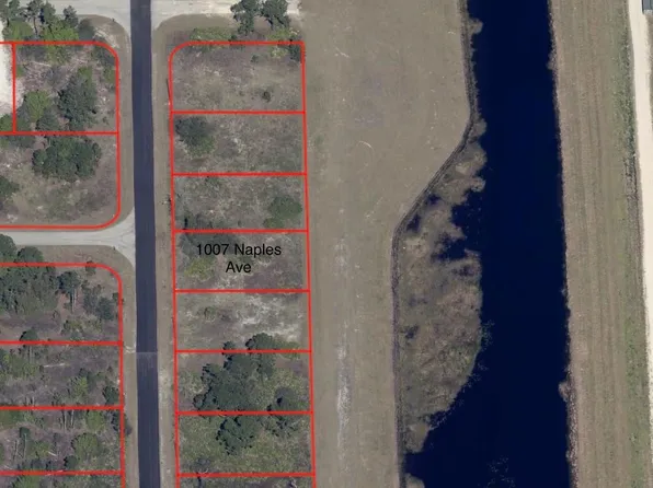 1007 Naples Avenue, Lehigh Acres, FL 33974