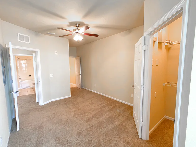 Large Bedroom with Lush Carpet and Walk in Closet Large Bedroom with Lush Carpet and Walk in Closet