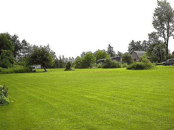 Huge Back Yard