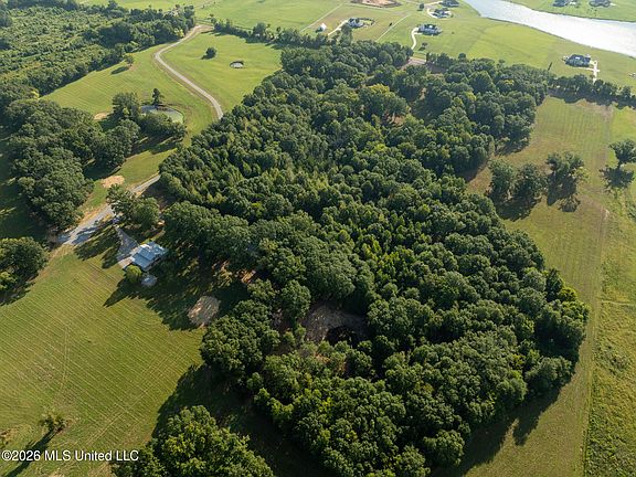5th image of Fallen Oak Cv Lot 8
