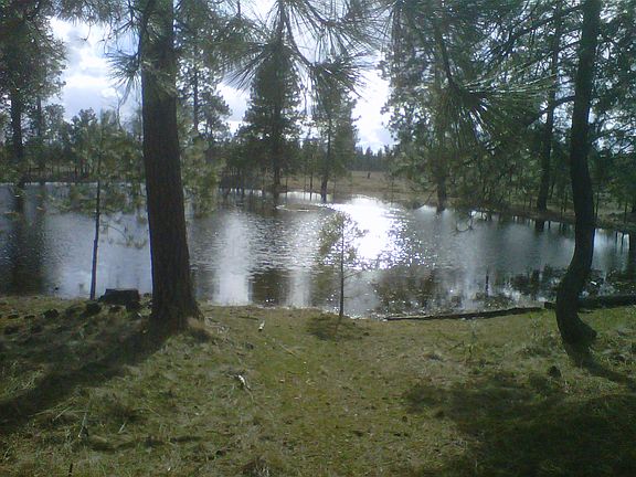 One of two seasonal ponds