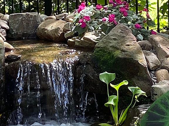 Peaceful water feature