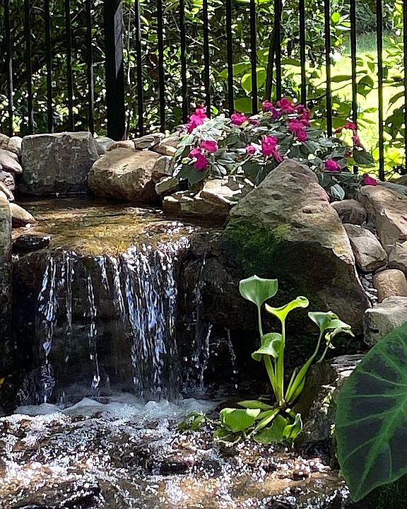 Peaceful water feature
