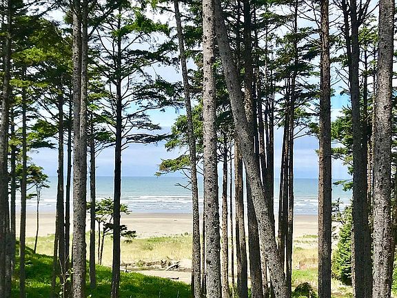 Ocean view