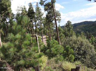 12718 N Upper Loma Linda Rd #40, Mount Lemmon, AZ 85619