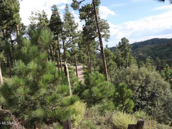 12718 N Upper Loma Linda Rd #40, Mount Lemmon, AZ 85619