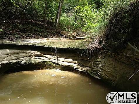 3rd image of 141 County Road 4599