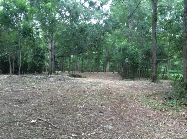 12372 Springfield Rd, Denham Springs, LA 70706