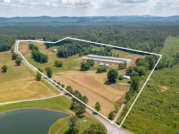 1600 County Road 62, Gaylesville, AL 35973