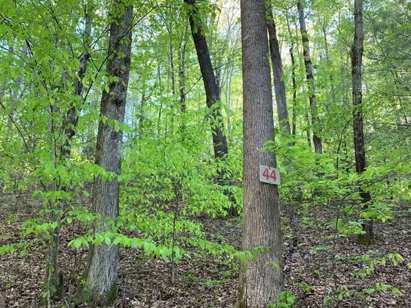 LOT 44 Fires Creek Rd, Hayesville, NC 28904