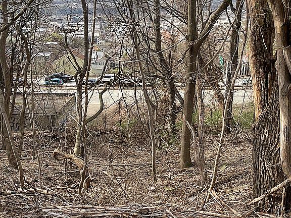 4th image of 3386 Bigelow Blvd