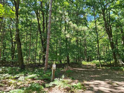 LOT 234 Oak Run, Farwell, MI, 48622