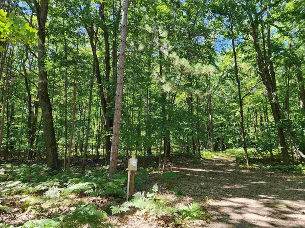 LOT 234 Oak Run, Farwell, MI 48622