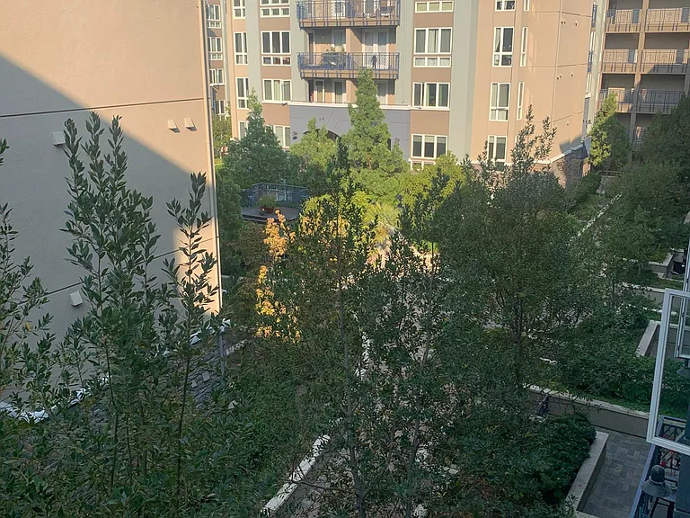 View of the courtyard from patio