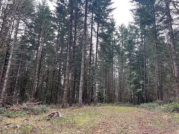 5th image of Deer Ct