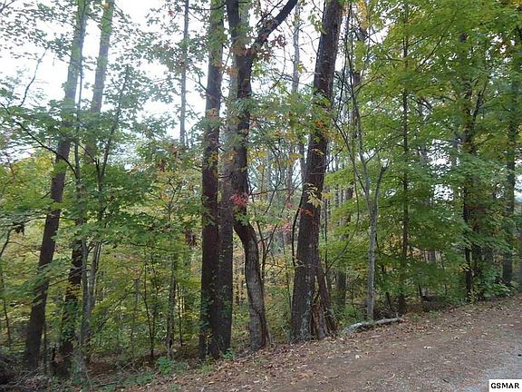 2nd image of 129 Nebo Mountain Rd Lot 9&10