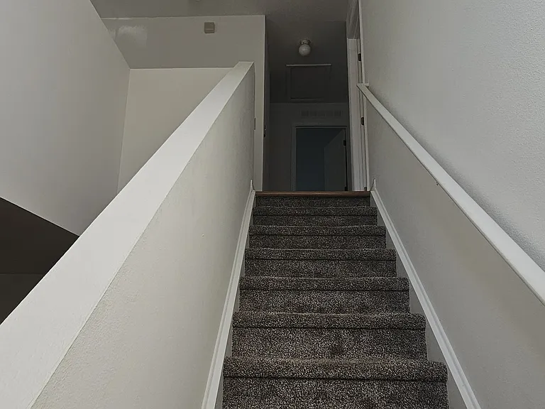 3878 Sunset Cove Dr — Photo 19