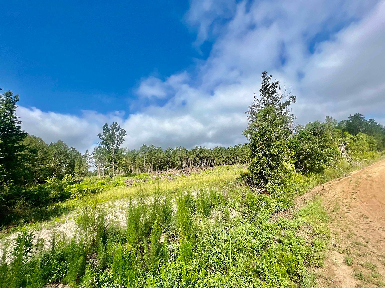 0 Willie Adams Rd, Cadwell, GA 31009 MLS 20136581 Zillow