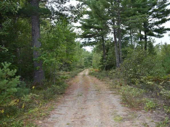 Lot 1 Stevens Brook Lane, Greenbush, ME 04418