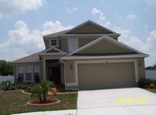 11124 Silver Dancer Dr, Riverview, FL 33579