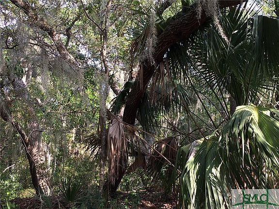 5th image of 105 San Marco Dr