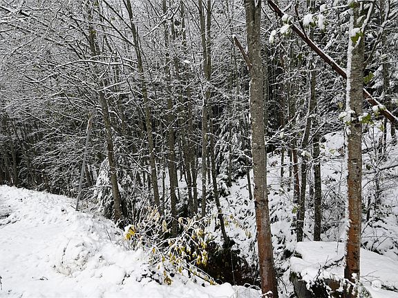 2nd image of 87446 NE Old Cascade Highway