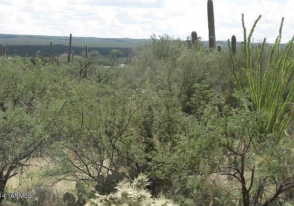 3rd image of 14055 E Camino Cartamo