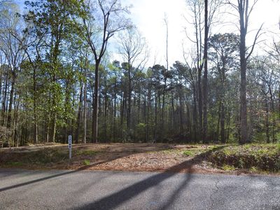 12168 Lake Rosemound Rd, Saint Francisville, LA, 70775