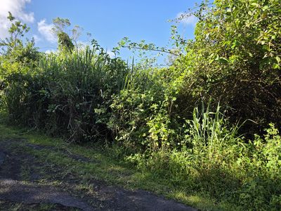 Aloha Rd, Pahoa, HI, 96778