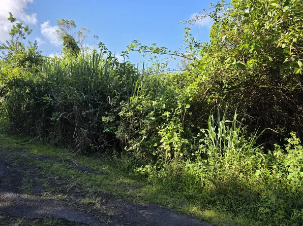 Aloha Rd Lot 160, Pahoa, HI 96778