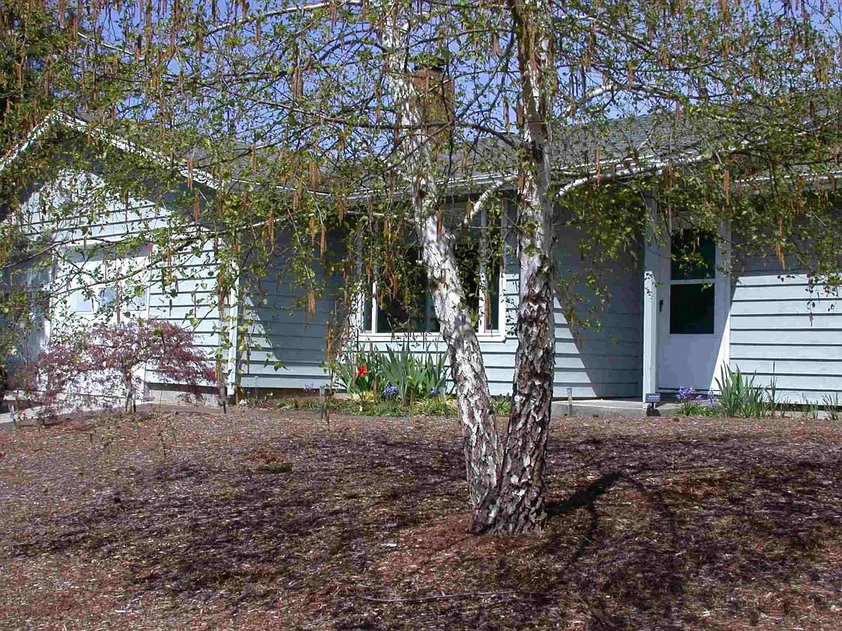 683 NW Survista Avenue — Photo 3