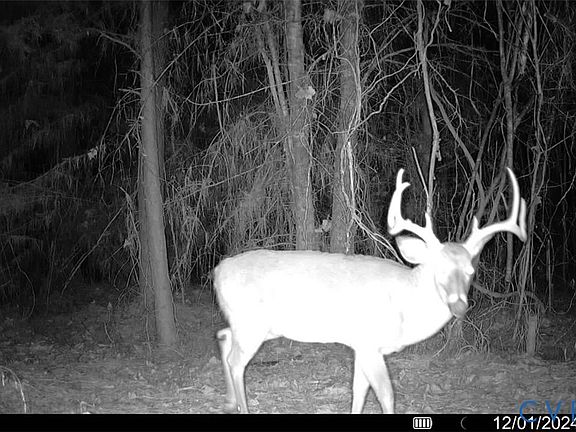 4th image of N/a Doswell Town Rd