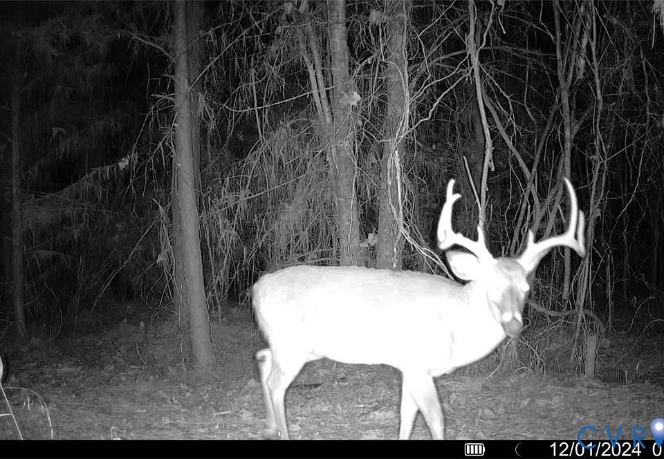 1st image of Na Doswell Town Rd Lot 3