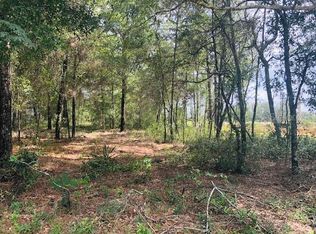 217 Putnam Ave, Interlachen, FL 32148