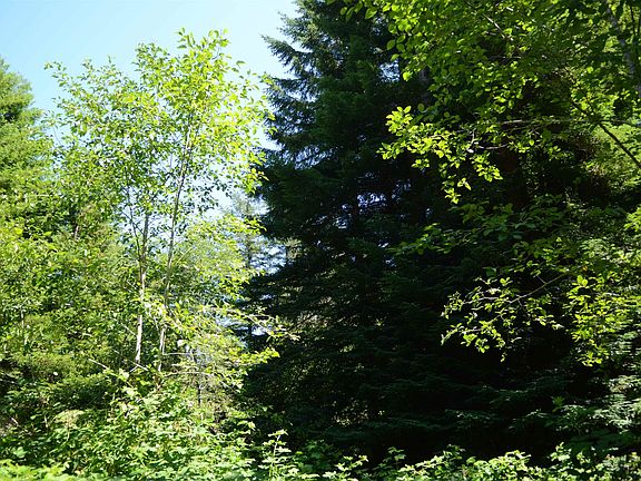2nd image of 36 Bell Hole Loop