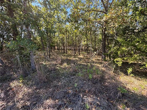 3rd image of LOT 14 Shady Oaks Ln