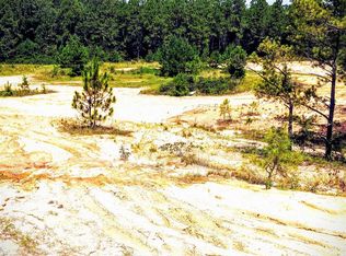 Bitternut Ct, Gaston, SC 29053