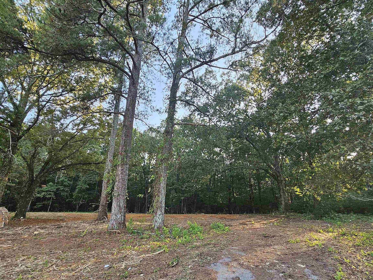 3195 E Upper River Rd, Decatur, AL 35603 Zillow